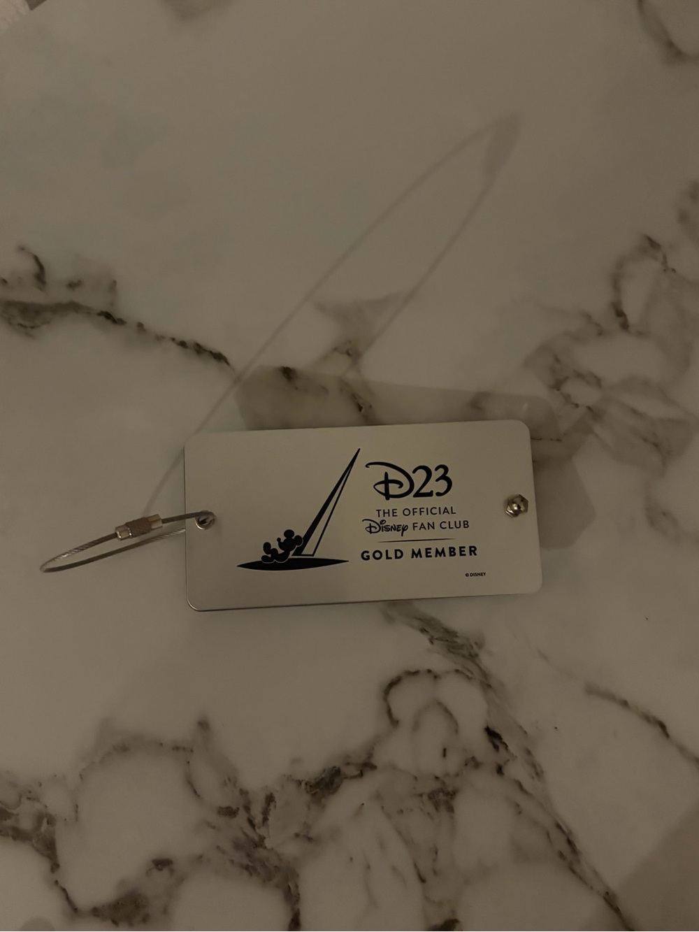 Disney D23 Gold Member Silver Tag Key/Card Holder